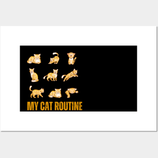 My  cat Routine Posters and Art